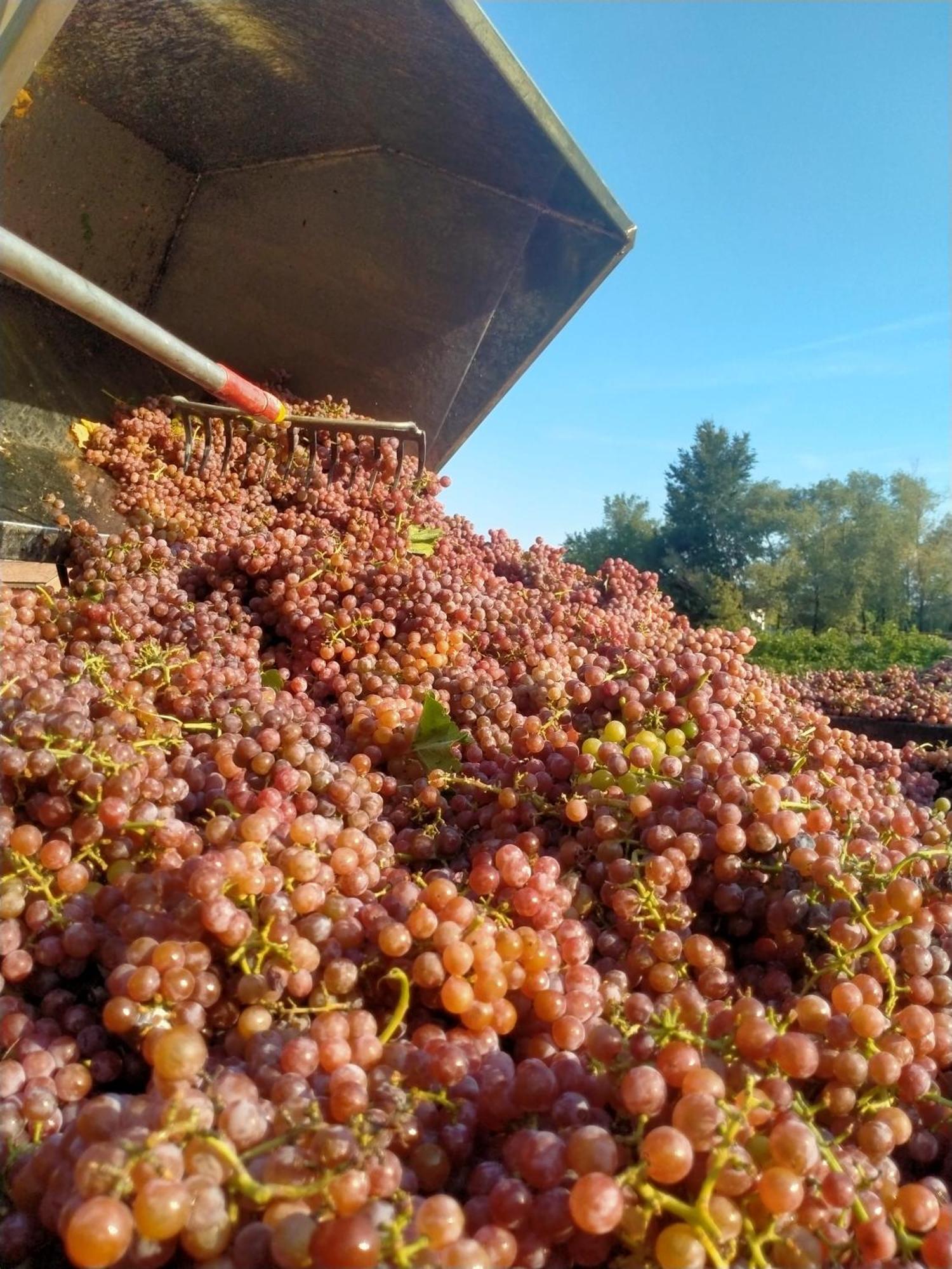 Barone Rosso Acomodação com café da manhã Treviso Exterior foto